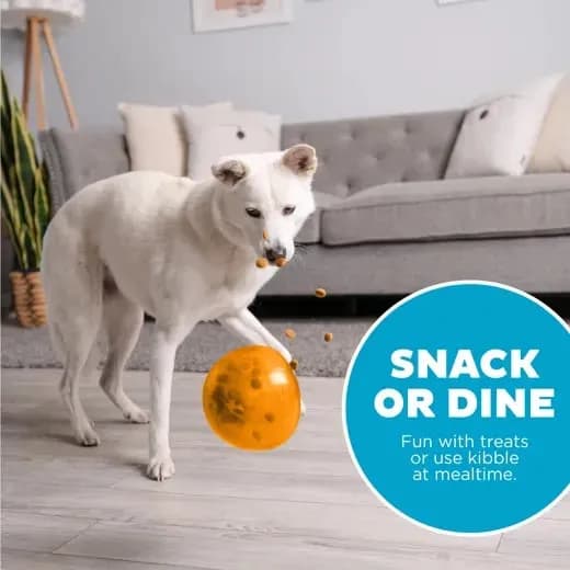 Outward Hound Orbee-Tuff Snoop - Preisgekröntes, interaktives Leckerli-Spielzeug 5