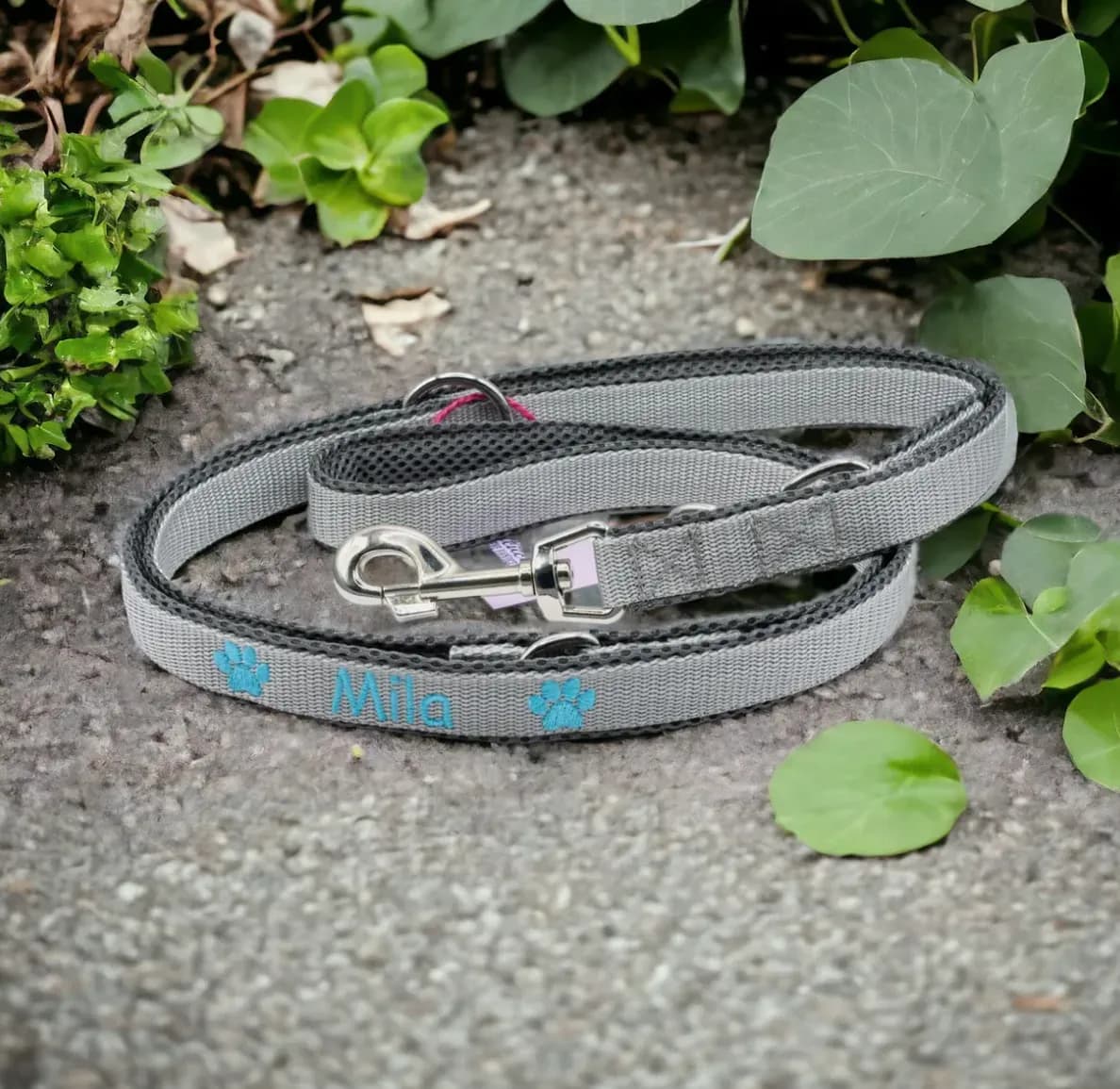Hundeleine mit Namen personalisieren lassen