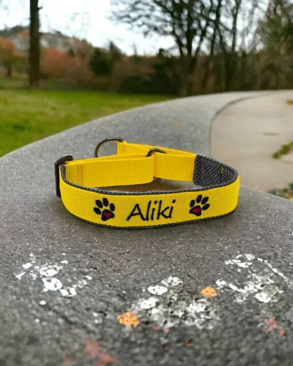 Hundehalsband mit Namen bestickt bestellen