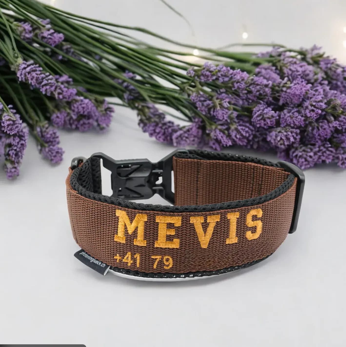 Individuelles Hundehalsband mit FIDLOCK® Magnetverschluss