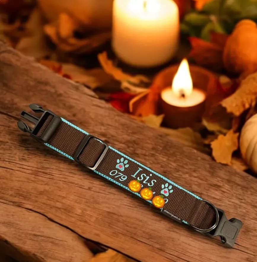 Handgefertigtes Hundehalsband aus Ökotex zertifizierten Gurtband