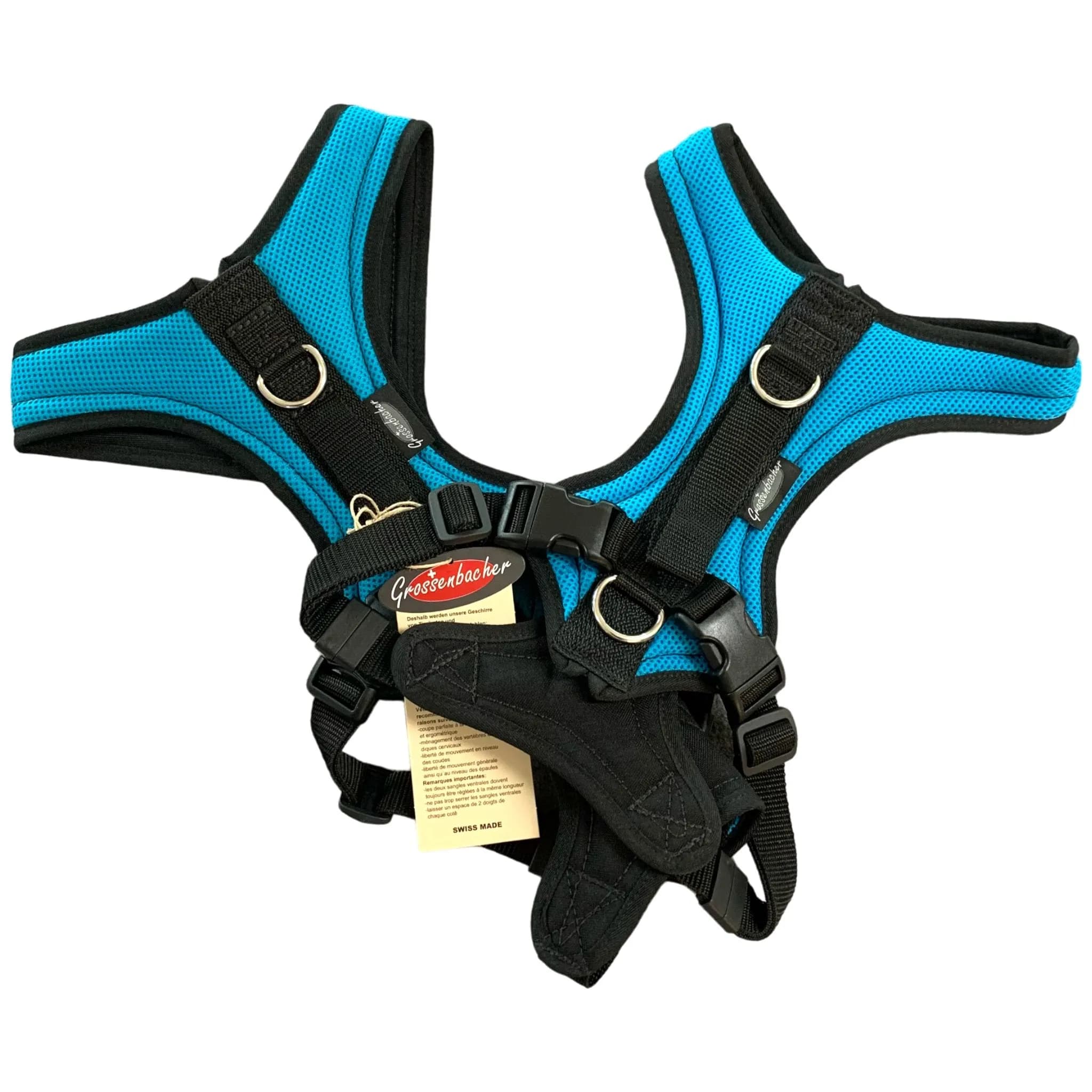 Beat Grossenbacher Hundegeschirr Dogs Fun Run Türkis