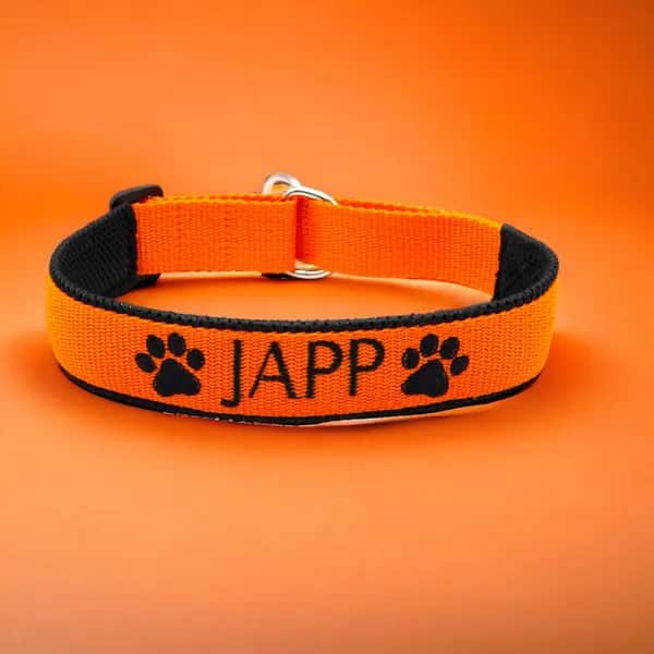 Hundehalsband mit Zugstopp