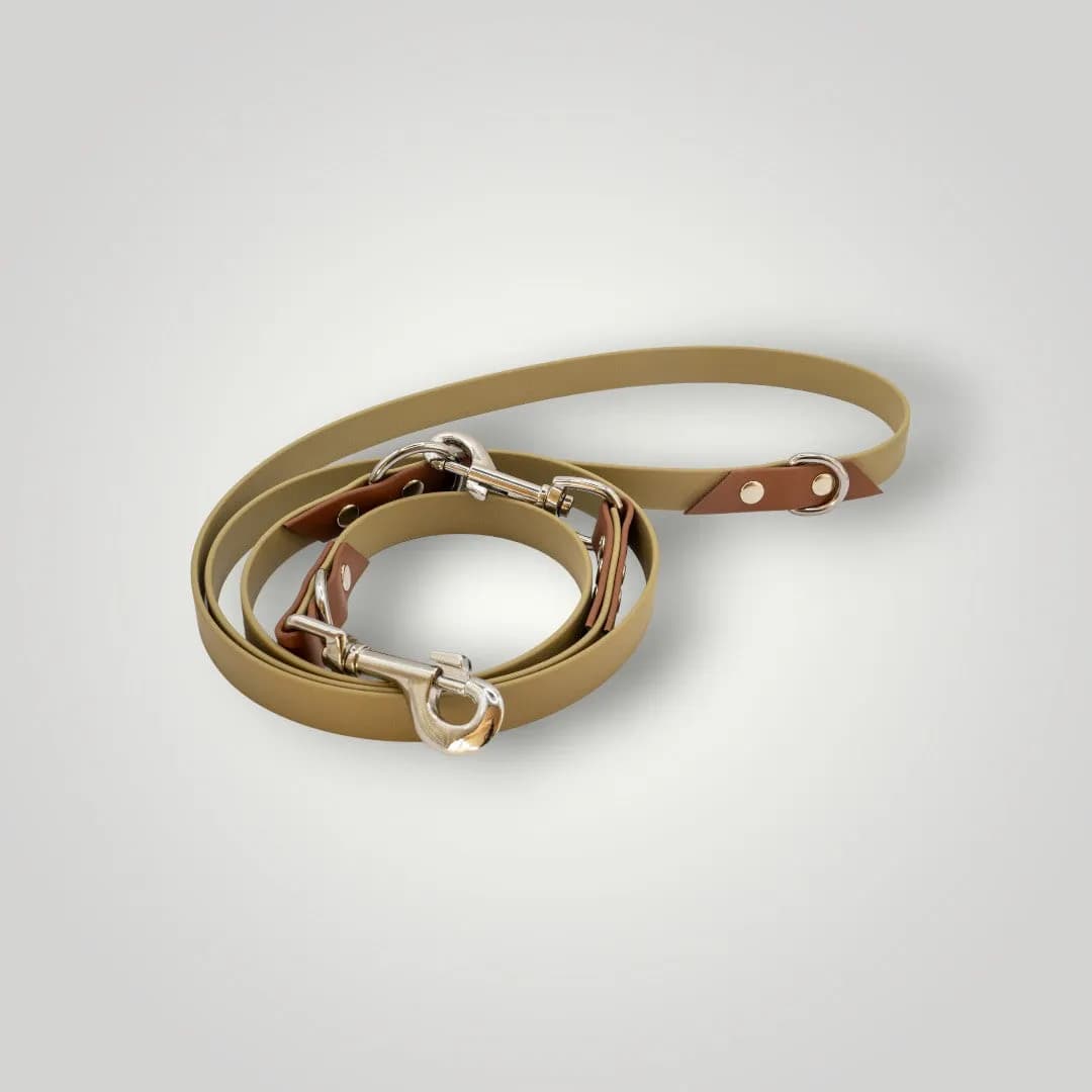 Biothane Hundeleine 2-fach verstellbar