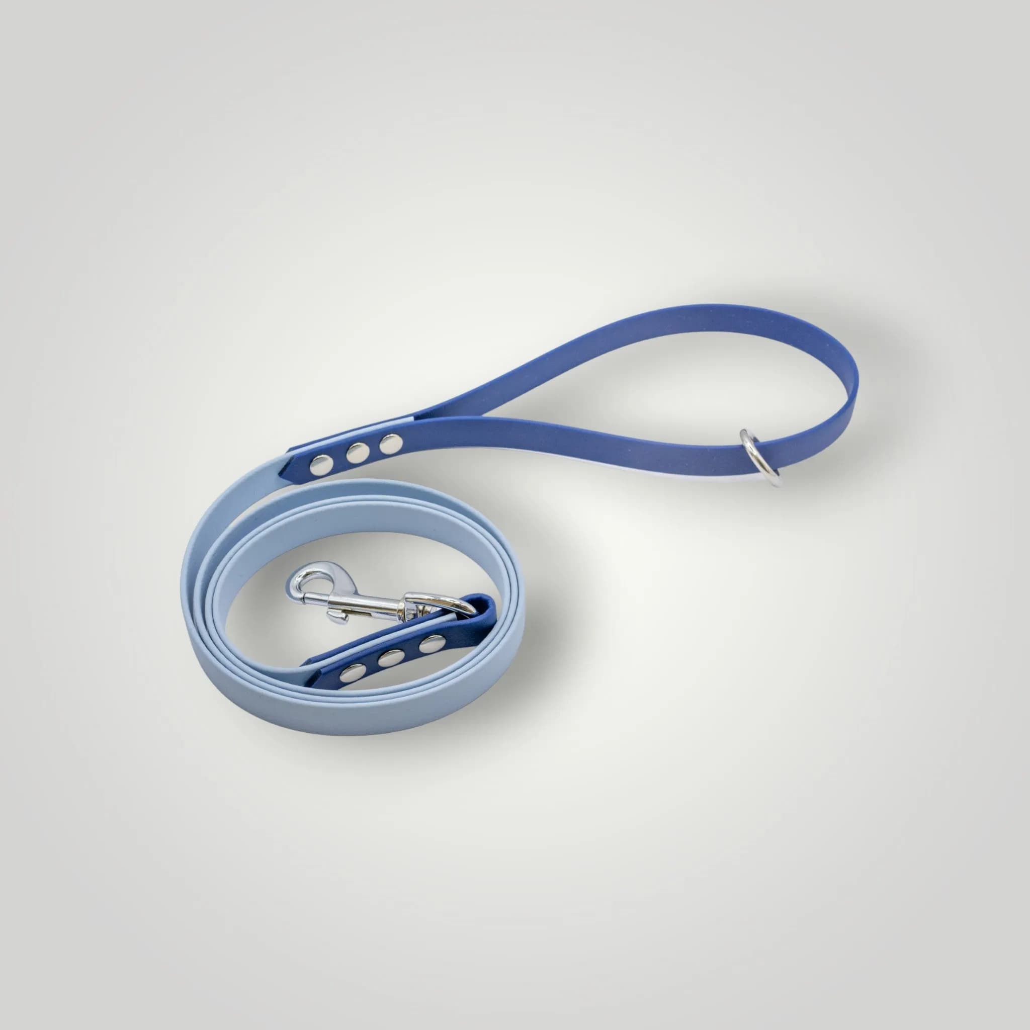 2-Farbige Biothane Leine, 1,60 m fixe Länge