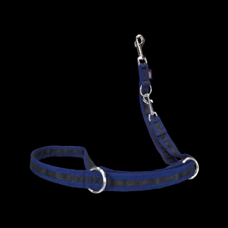 Hundeleine eingefasst von Beat Grossenbacher