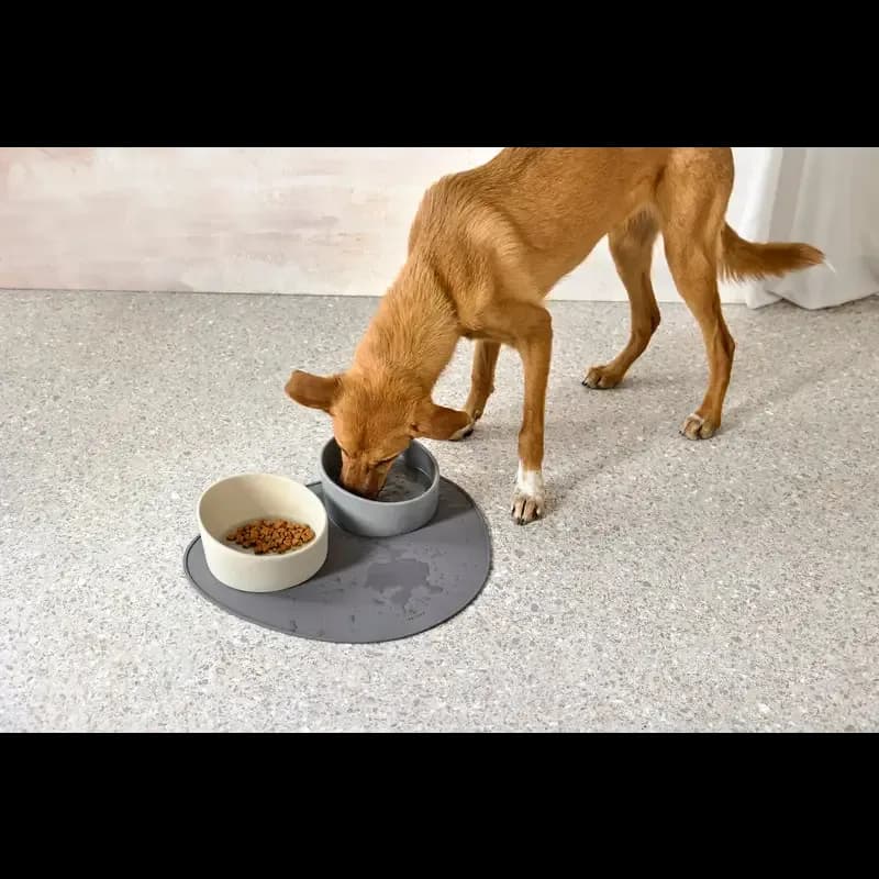 Hundenapf Cali - Fressnapf für Hunde