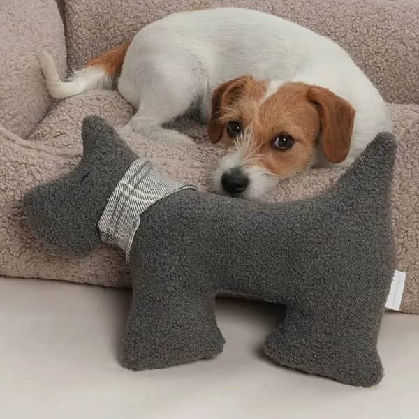 Plüschhund FRED Paddy mit Halstuch